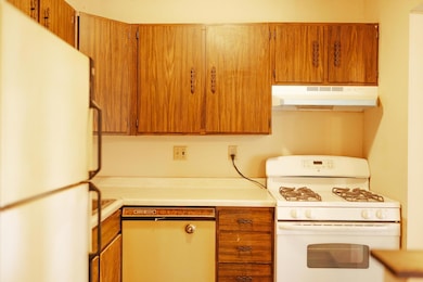 7454 72nd Ln N unit 308, Brooklyn Park, MN 55428 - photo 7