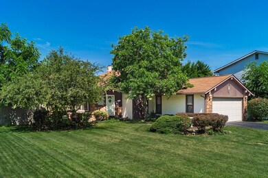 C - 3485 Treehouse092-2