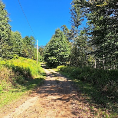 Doe Run Rd unit LotWP001, Galeton, PA 16922 - photo 5