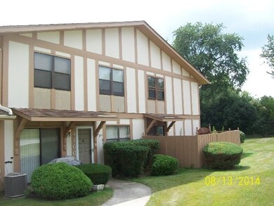 4164 191st Place unit 11, Country Club Hills, IL 60478 - photo 3