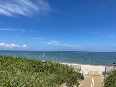 Sea Pines from Dune