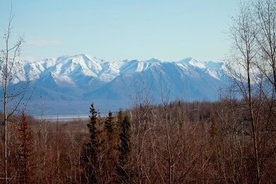 Panoramic Mountains View