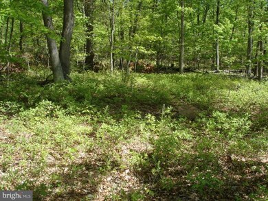 0 Three Turn Rd unit 1003987076, Shippensburg, PA 17257 - photo 4