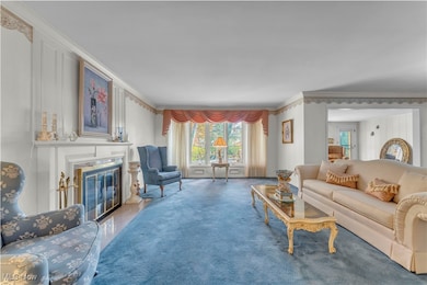 Carpeted living room featuring ornamental molding, healthy amount of natural light, and a high end fireplace