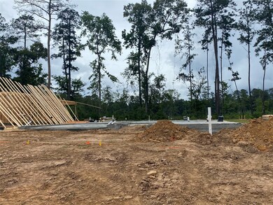 10108 Palm Bay Ln, Conroe, TX 77384 - photo 4