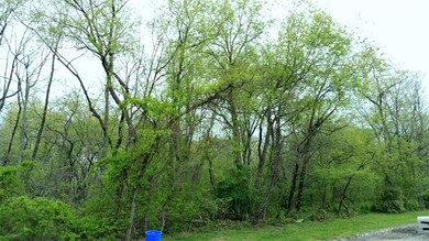 Looking up Ann Street toward Bechtel Street at the