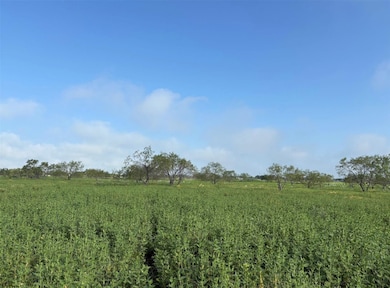 4363 Fm-1126, Corsicana, TX 75110 - photo 3