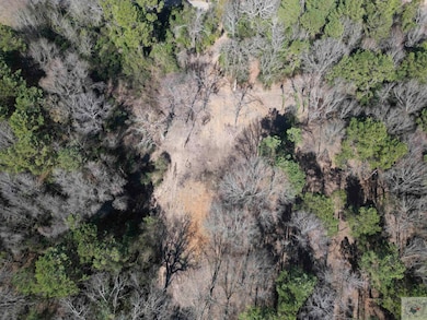 TBD Old Blackman Ferry Rd, Texarkana, AR 71854 - photo 5