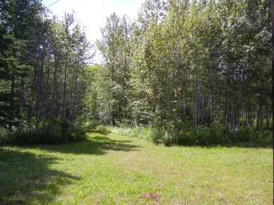 woods