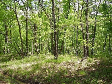 Winarsky Cir Ofc unit Edwards MO 65326, Hastain, MO 65326 - photo 4