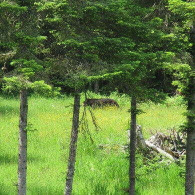 12629 Crane Mountain Rd, Bigfork, MT 59911 - photo 7