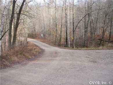 View Seasonal road to property