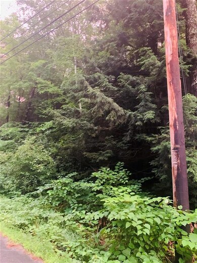 0 Kurn Hattin Rd unit 4872384, Westminster, VT 05158 - photo 2