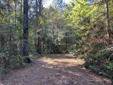 162 Meadow Ln, Livingston, TX 77351 - photo 7