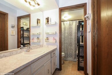 4908 Circle Ct unit 310, Crestwood, IL 60418 - photo 3