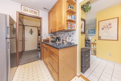 765 Peninsula Ct, Ann Arbor, MI 48105 - photo 6