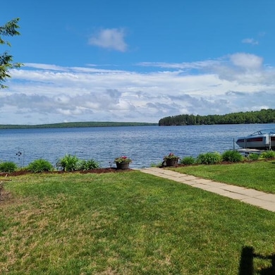 Lawn and lake
