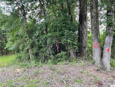 00 Kelley Rd, Quitman, LA 71268 - photo 3