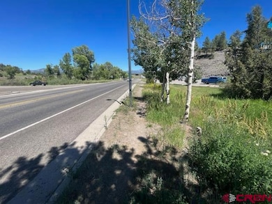 351 E Pagosa St, Pagosa Springs, CO 81147 - photo 2