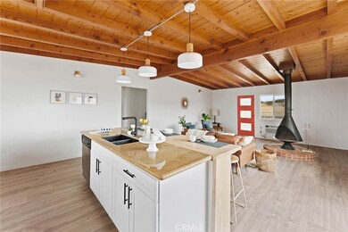 52024 Nehlsen Rd, Johnson Valley, CA 92285 - photo 6