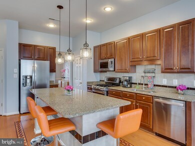 42840 Cedar Hedge St, Chantilly, VA 20152 - photo 5