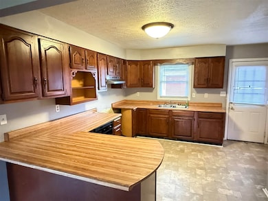 4237 Kentucky 171, Greenville, KY 42345 - photo 3