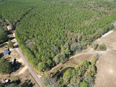 XXX Conerly Dr, McComb, MS 39648 - photo 7