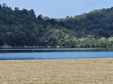 2427 Hardin Bottom River Rd, Clifton, TN 38425 - photo 3