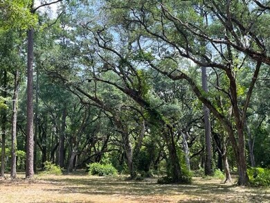 00000 Louisville St, Lacombe, LA 70445 - photo 3