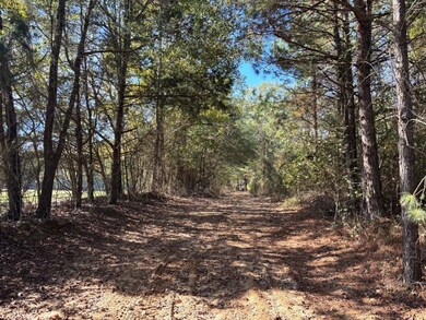 00 Griffin Rd, Shuqualak, MS 39361 - photo 5