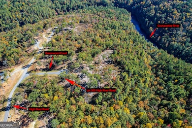 LOT 305 High River Rd, Ellijay, GA 30540 - photo 7