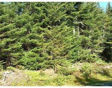 Lot 39 Yoho Head Rd, MacHiasport, ME 04655 - photo 4
