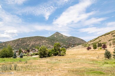 233 East Deer Ridge Way Midway UT 84049