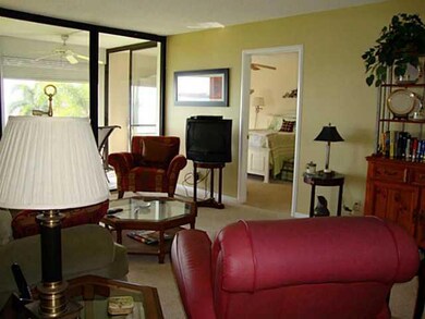 Living Room. River view inside & out!