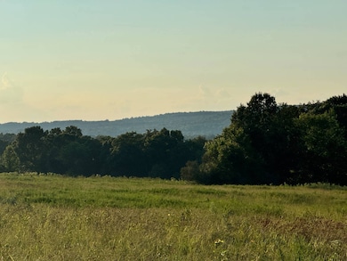 79 Coon Hunters Rd, Golconda No. 2 Precinct, IL 62938 - photo 4