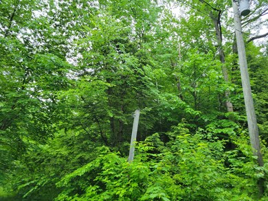 0 Butter Hill Rd unit 4913710, Chatham, NH 03813 - photo 3