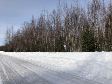 IMG-5635
