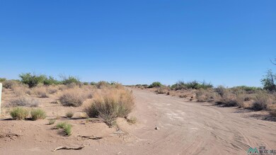 000 SW Majestic View Rd, Deming, NM 88030 - photo 6