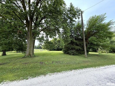 101 S Station St, Altona, IL 61414 - photo 4