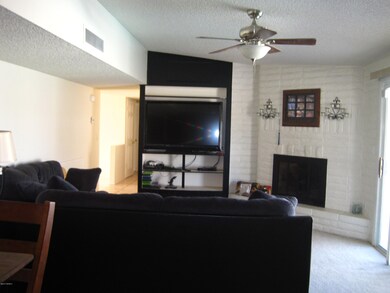 Fireplace in Family Room