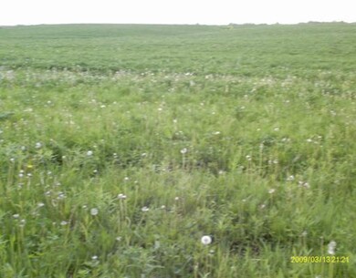 Land/Lot.