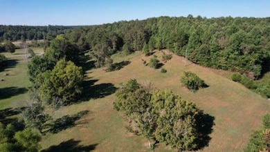 446 Grinders Creek Rd, Hohenwald, TN 38462 - photo 4