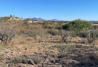 1039 Estoque Ct unit 104, Rio Rico, AZ 85648 - photo 2