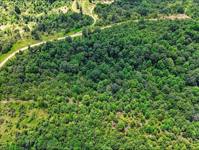 0 Shores Trail unit RTC3000408, Stewart, TN 37175 - photo 3