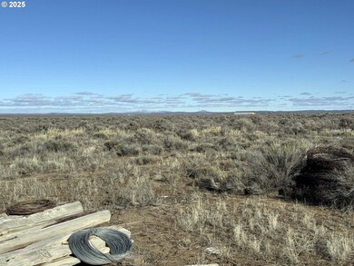 0 Kna Rolfs Point Rd unit TL4300 677241032, Christmasvalley, OR 97641 - photo 7