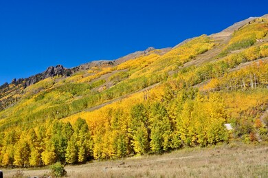 0 Aurum St unit 1-8, Ophir, CO 81426 - photo 2