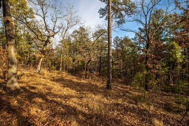 Lot 17 Phase 1, Tuskahoma, OK 74574 - photo 3