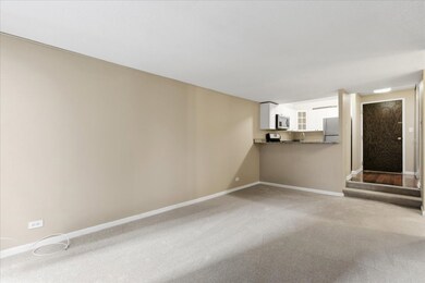 230 E Ontario St unit 1503, Chicago, IL 60611 - photo 4