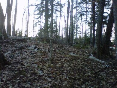 Lot 2 Stafford Point Rd, Mercer, WI 54547 - photo 5