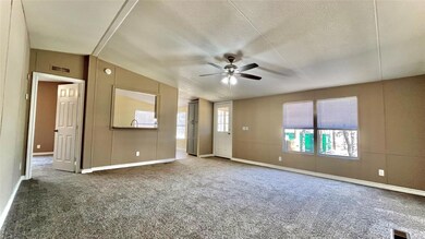 146 Adalida Ln, Springtown, TX 76082 - photo 3